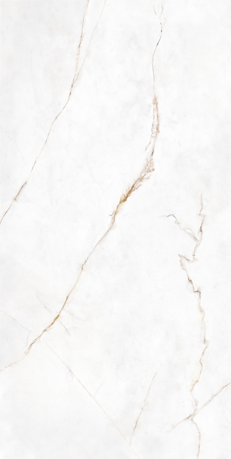 placeholder image-sq